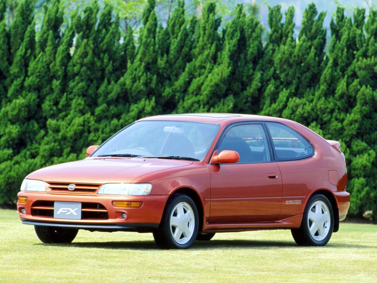 Toyota Corolla 1991 - 1997