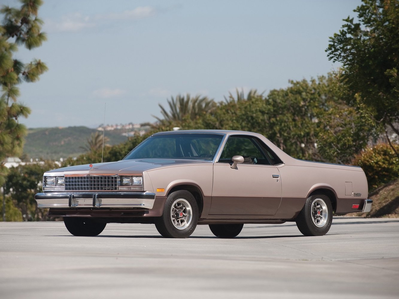 el_camino