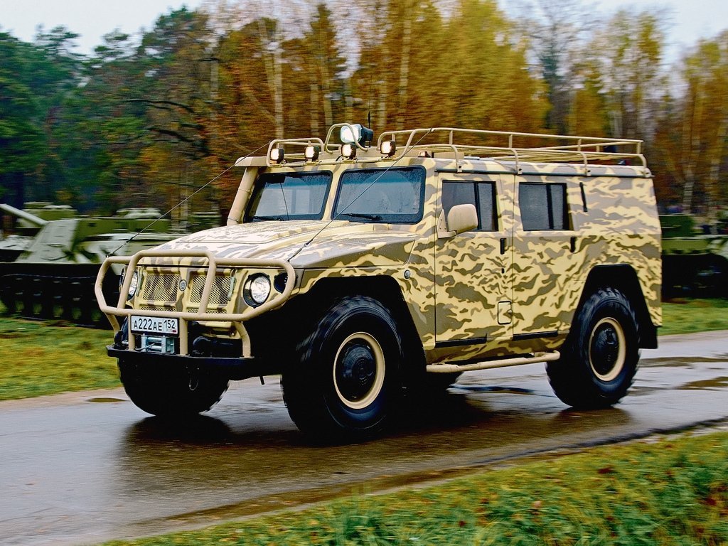 2330_tigr