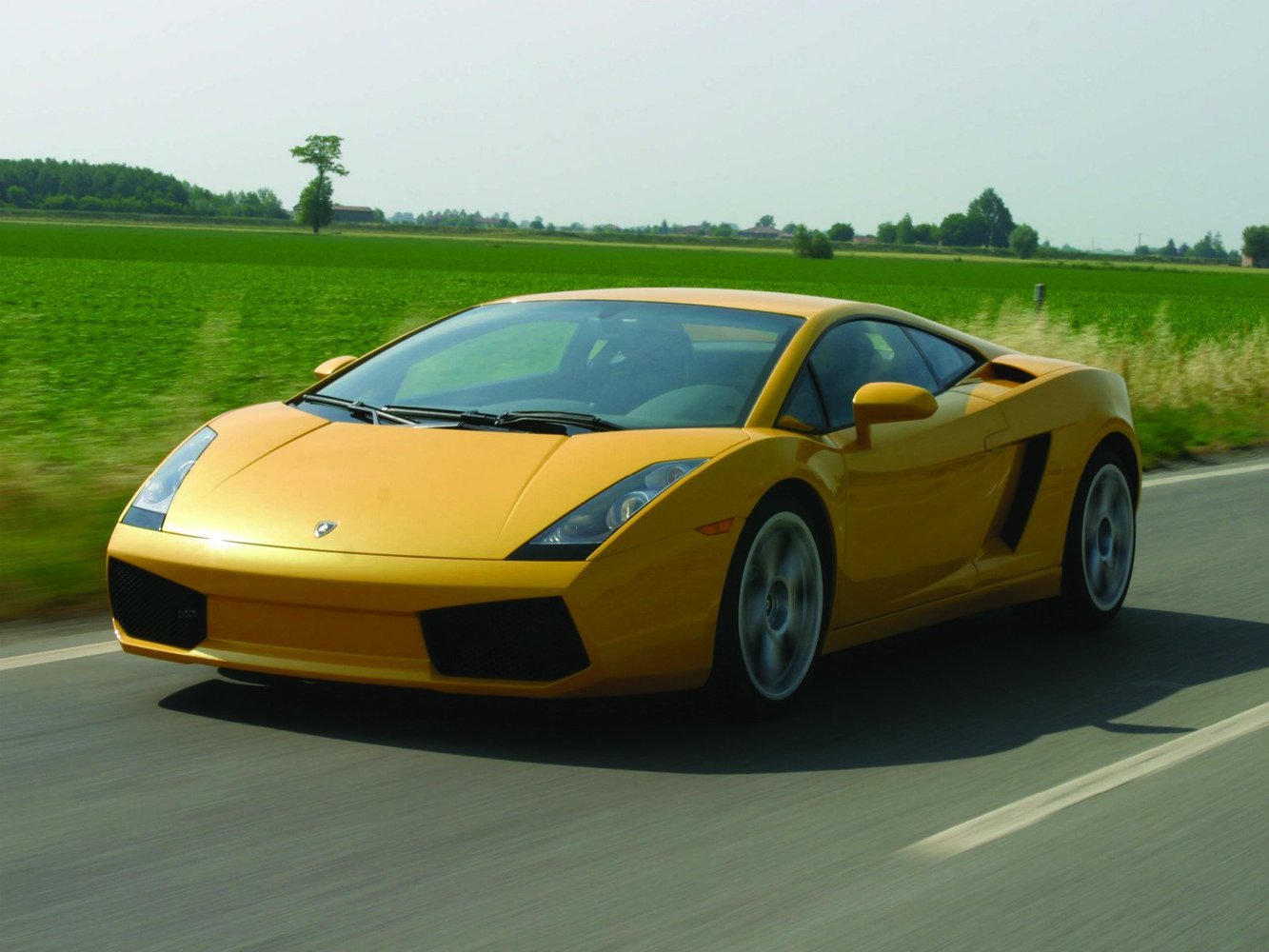 gallardo