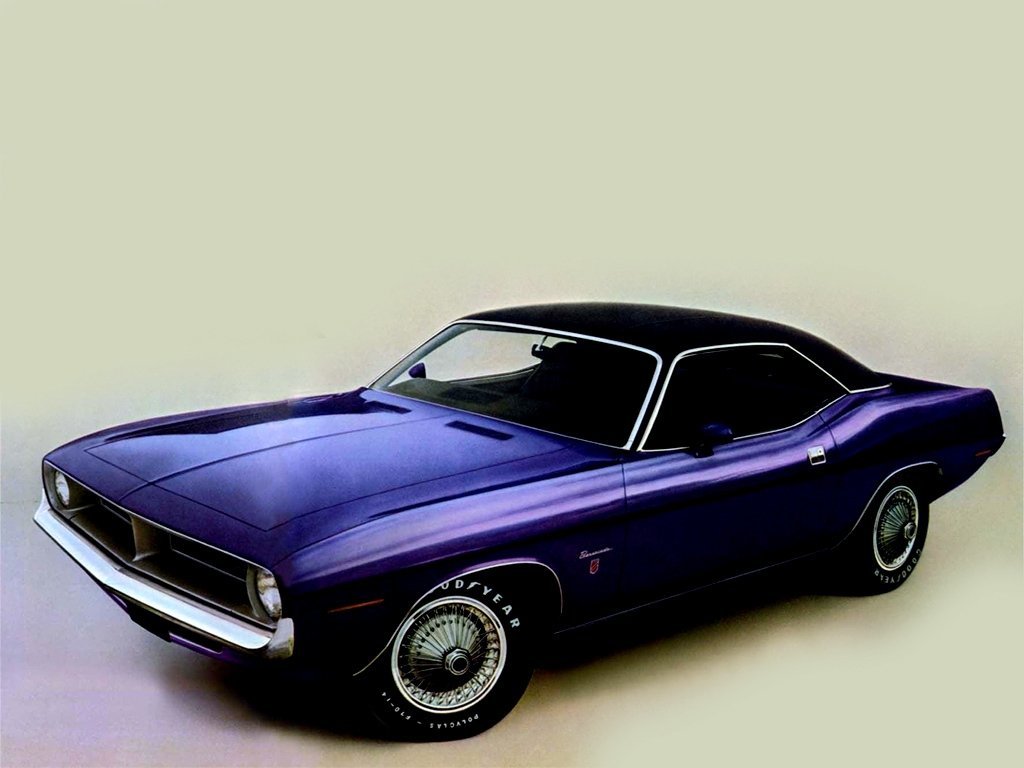 barracuda
