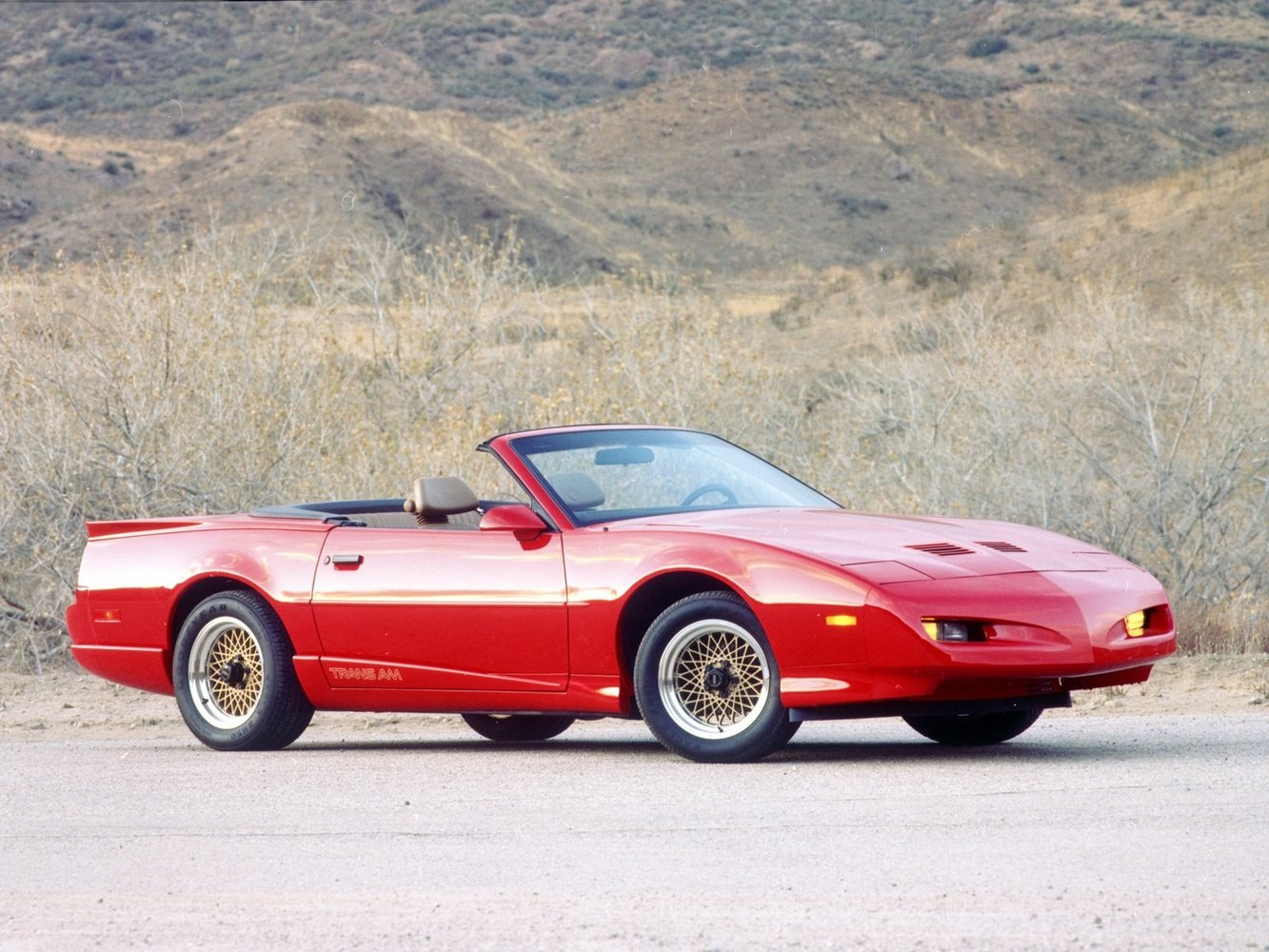 firebird