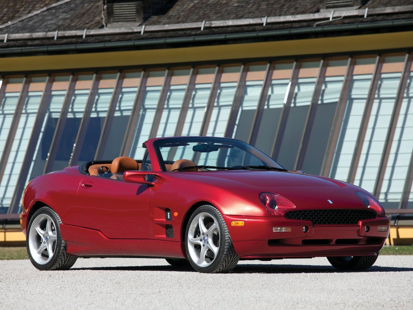 mangusta