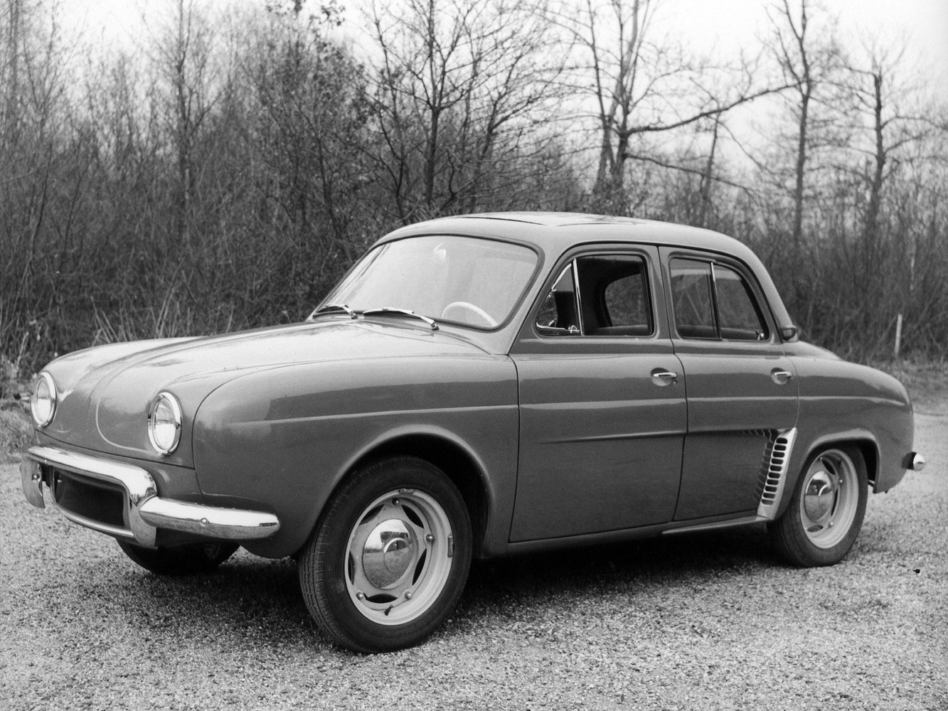 dauphine