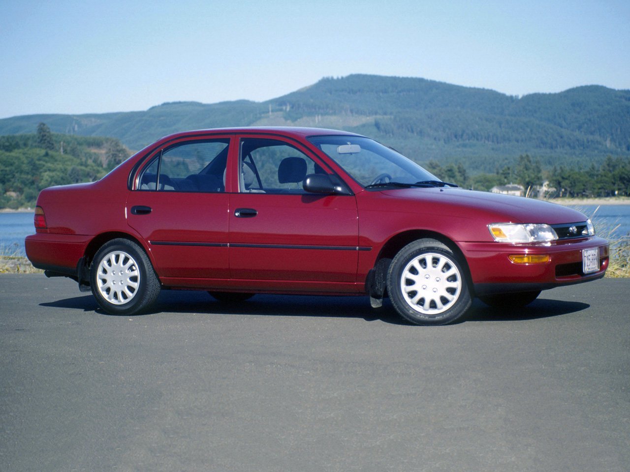 corolla